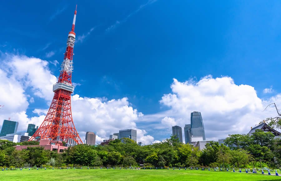 東京のドラッグストアの特徴