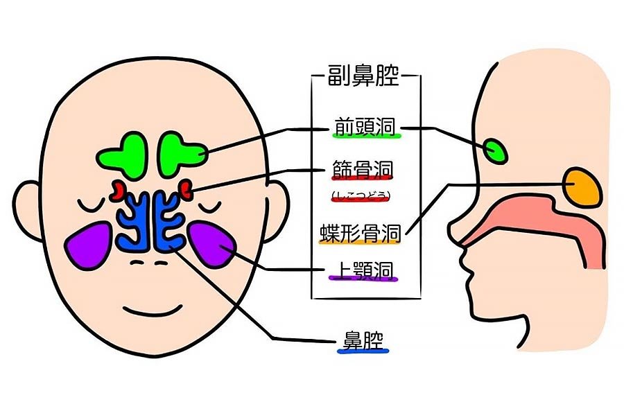 抗コリン成分の主な副作用
