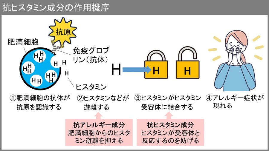 【抗ヒスタミン成分の作用機序】